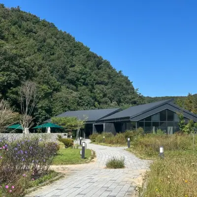 묵리459의 사진