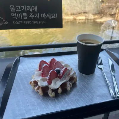 바다쏭의 사진