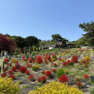 산들소리의 사진