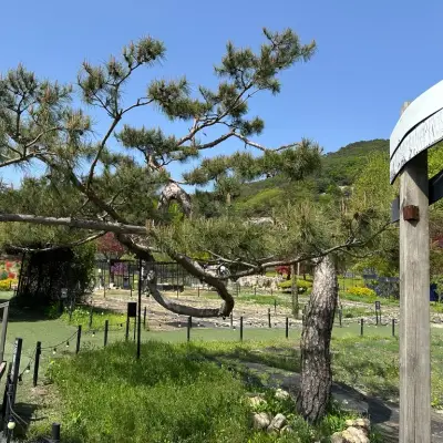 산들소리의 사진