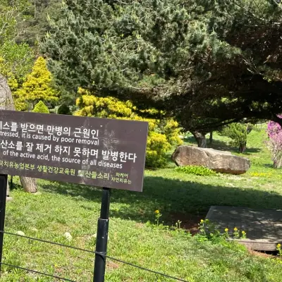 산들소리의 사진