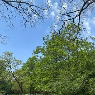 서울대학교 수목원의 사진