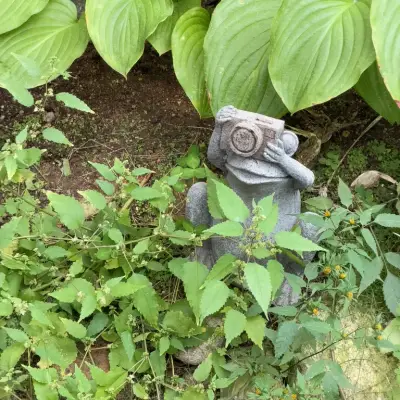 신구대학교 식물원의 사진
