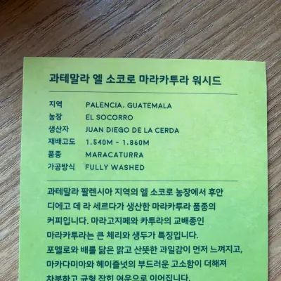 아이소의 사진