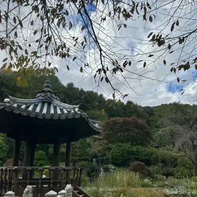 아침고요 수목원의 사진