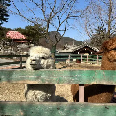 우둠지 제빵소의 사진