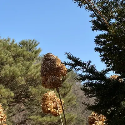 우둠지 제빵소의 사진