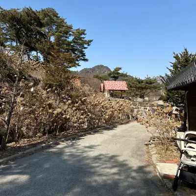 우둠지 제빵소의 사진