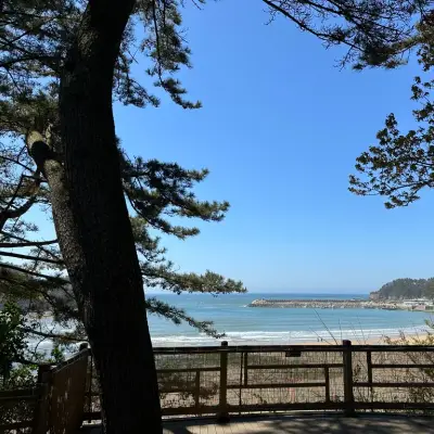 천리포 수목원의 사진